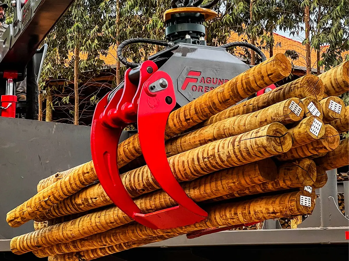 Detalhe da articulação da Garra Florestal, foto 2